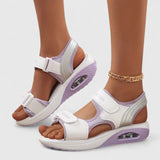 White/Purple